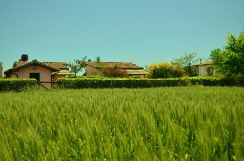 Agroturismo Agriturismo Le Grazie