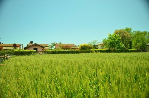 Agroturismo Agriturismo Le Grazie