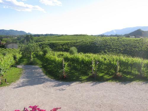 Agroturismo La Casa Vecchia