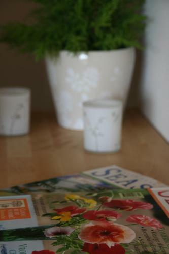 Bed & Breakfast Swiss Seasons