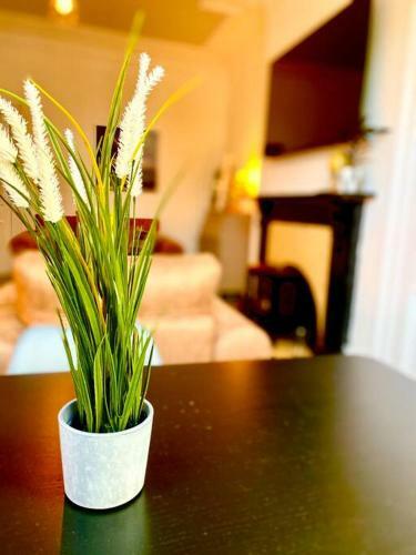 Anchored Homely Apartment In Historic Centre