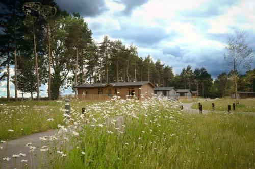 Lodge Hollicarrs Holiday Park - Hares Leap