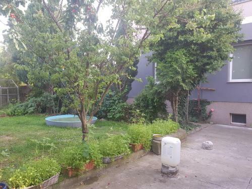 Apartamento G�stewohnung Mit K�che Magdeburg An Der Elbe