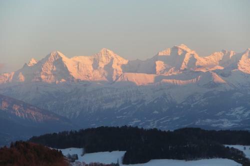 Hotel Bed And Breakfast Gantrisch Cottage Ferienzimmer