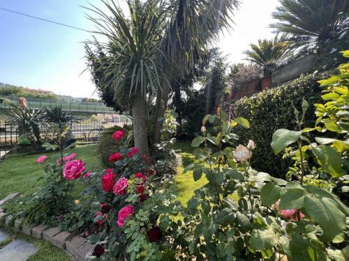 Apartamento Altido Bruno & Pia With Swimming Pool