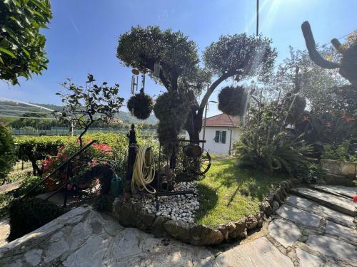 Apartamento Altido Bruno & Pia With Swimming Pool