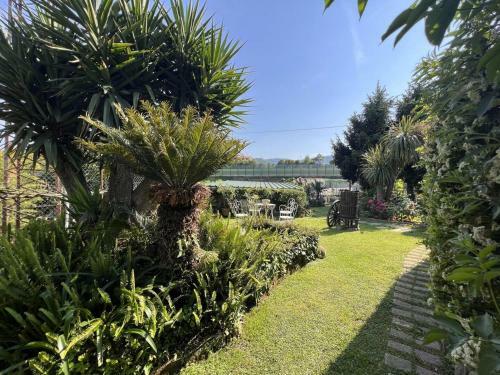 Apartamento Altido Bruno & Pia With Swimming Pool