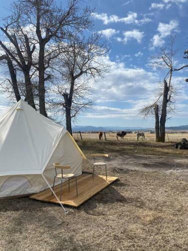 Sleepy Teepee 2