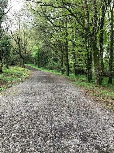 Spacious Farmhouse With Lovely Views, Omagh & Ferm