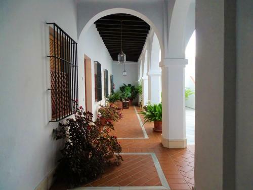 Acogedor Apartamento En Sanlucar De Barrameda