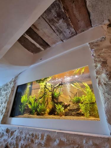 Piscine Troglodyte Avec Vue Incroyable � Gordes