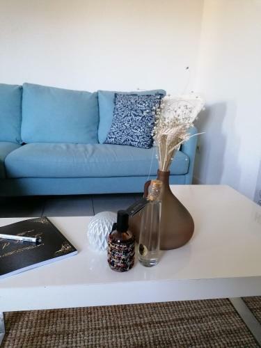 Apartamento Le Bluet * Enti�rement �quipe * Tout Confort