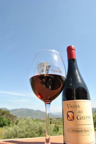 Apartamento Da Lorena Alla Vigna Del Greppo