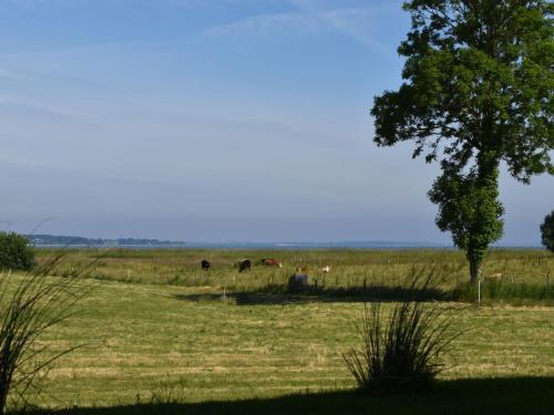 Ferienhaus Mein Ostseepl�tzchen Am Meer 9