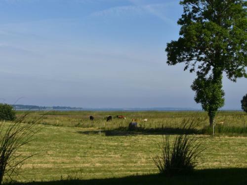 Ferienhaus Mein Ostseepl�tzchen Am Meer 8