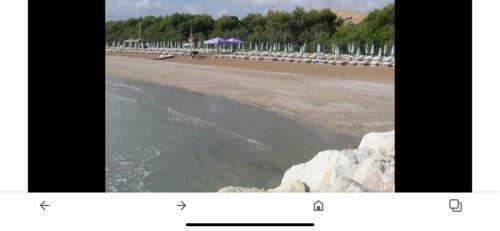 Apartamento Appartamento Condominio Dei Pini