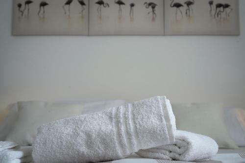 Apartamento [appartamento ?????] A 5 Minuti Da Centro E Mare
