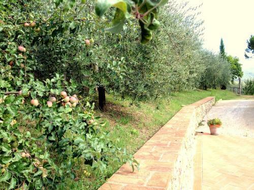 Apartamento Agriturismo Le Cerinaie