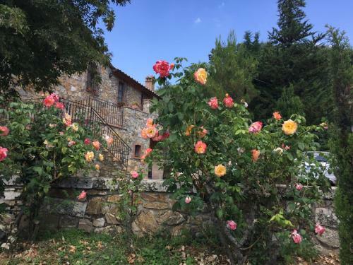 Apartamento Agriturismo Le Cerinaie