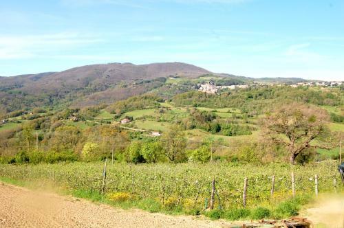 Apartamento Agriturismo Le Cerinaie