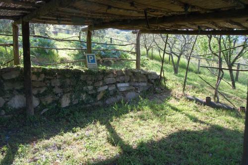 Apartamento Agriturismo Le Cerinaie