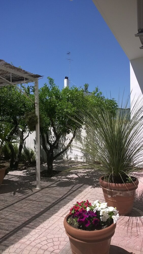Bed & Breakfast Arcona
