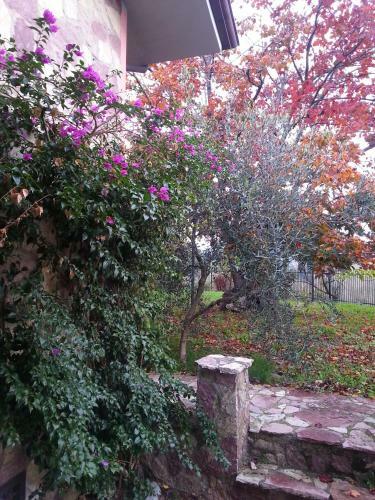 Gli Aceri B&B