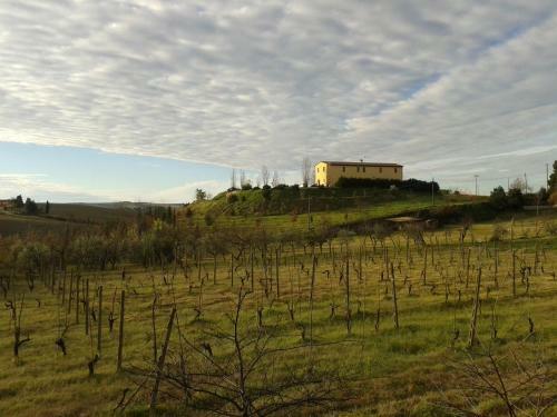 Agroturismo I Greppioli
