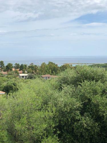 Casa Vacanze Gli Oleandri Rossi