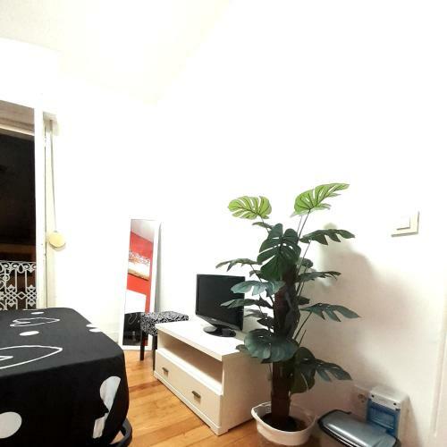 Apartamento Habitaci�n Tipo Loft Con Ba�o Independiente
