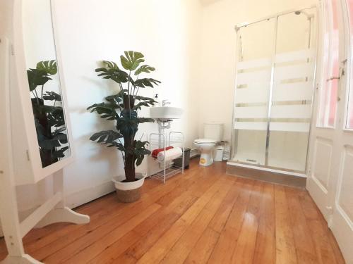 Apartamento Habitaci�n Tipo Loft Con Ba�o Independiente
