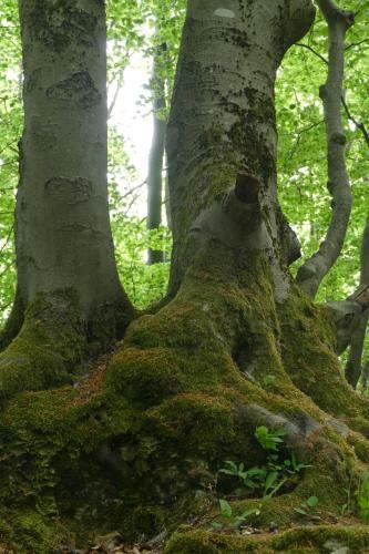Apartamento Natur-aktivhof Thiem