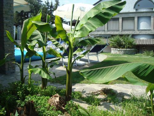 Bed & Breakfast Residenza Le Palme