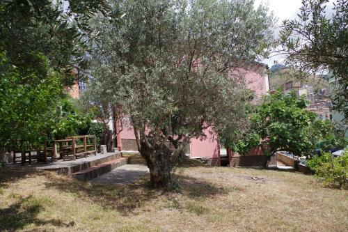 Villa In Calabria A 15 Km Dal Mare