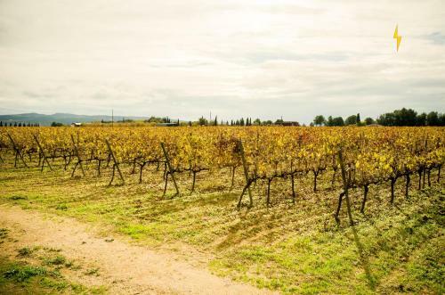 B&B Tina De Pacs, Close To Local Wineries
