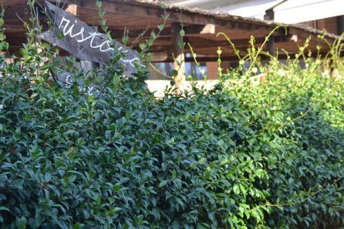 Agroturismo Agriturismo Il Laghetto