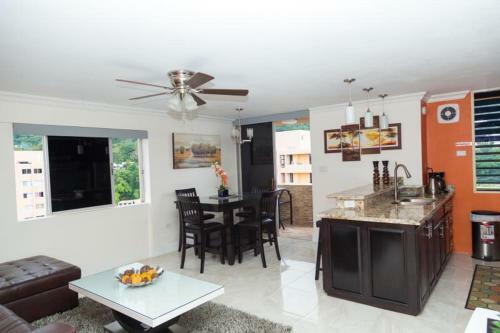 Apartamento The Penthouse At Turtle Beach Towers