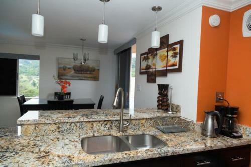 Apartamento The Penthouse At Turtle Beach Towers