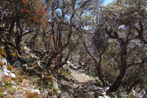 Apartamento Departamento Amoblado En El Centro De Huaraz