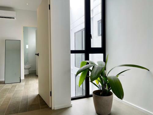 Apartamento Artistic 2br With Private Pool In Casco Antiguo