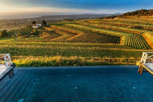 Agroturismo Wine Resort Villagrande