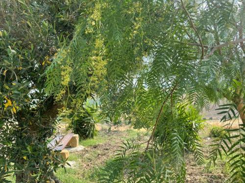 Agroturismo Masseria Baglio Perciata