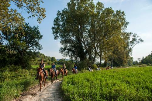 Agroturismo Rustico Del Conero
