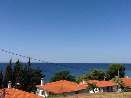 The House With The View