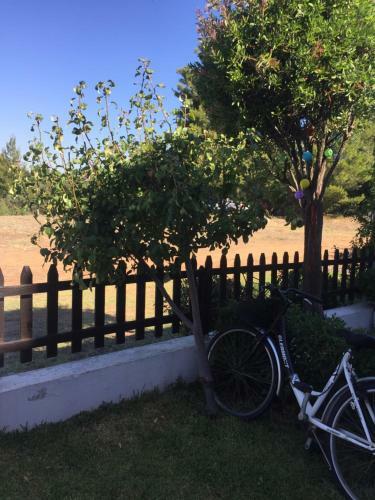 The House With The View