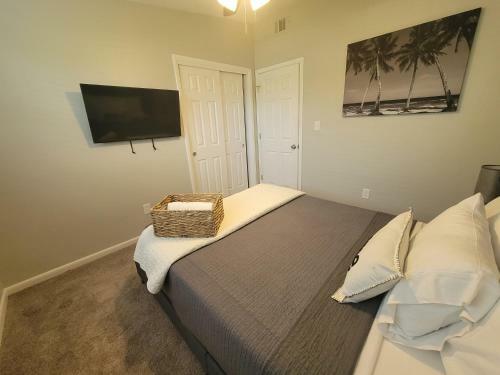 Cozy 3 Bed 2 Bath Pool Home Near Busch Gardens