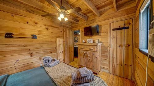 Pioneer Lodge - Cozy Cabin In Blue Ridge