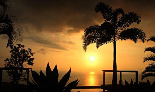 South Kona Coast Ocean View Luxury -pool