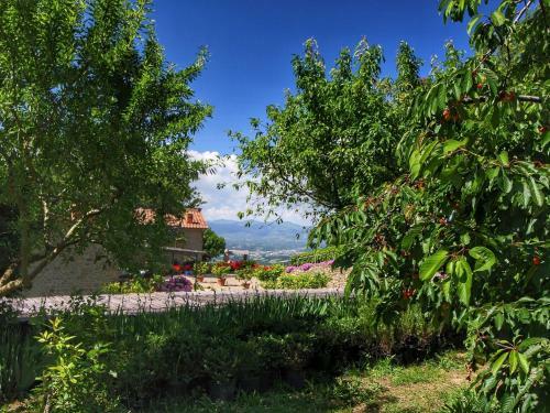 Lodge Holiday Home Clemacine Loro Ciuffenna