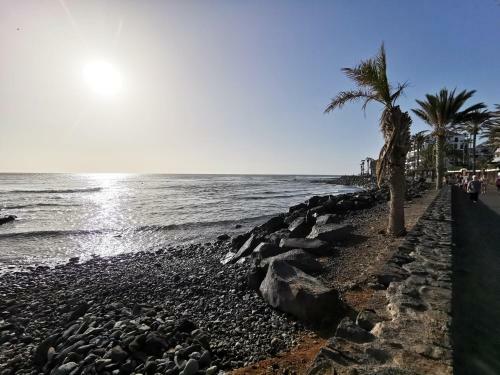 Home2book Charming Apartment Los Cristianos, Pool